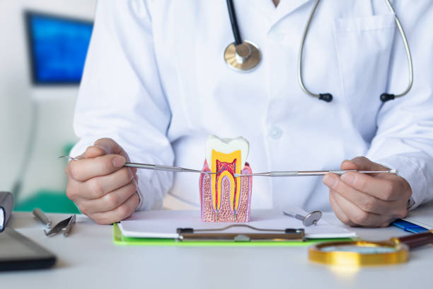 Best Pediatric Emergency Dentist in Mason Neck, VA